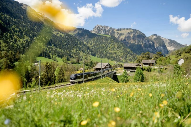 Scenic train views